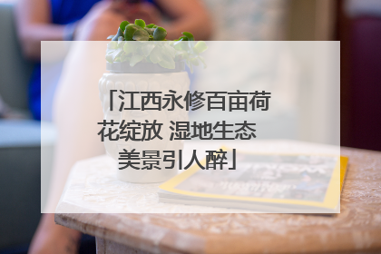 江西永修百亩荷花绽放 湿地生态美景引人醉